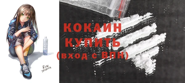 СК Новодвинск