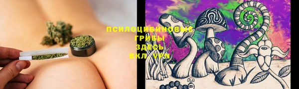 мдпв Новокубанск