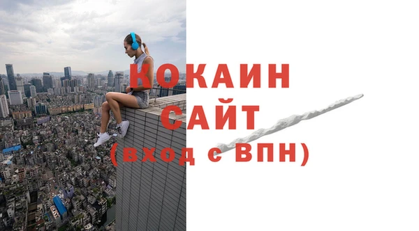 СК Новодвинск