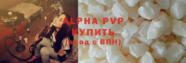 СК Новодвинск