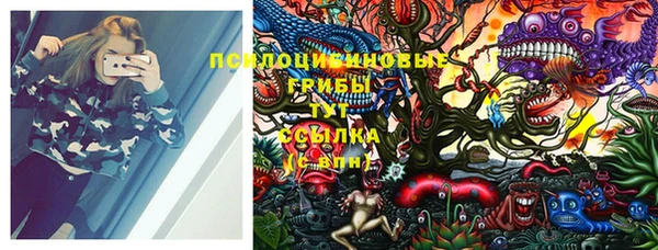мдпв Новокубанск