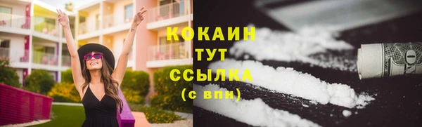 СК Новодвинск