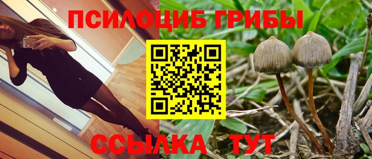 Псилоцибиновые грибы Magic Shrooms Осинники