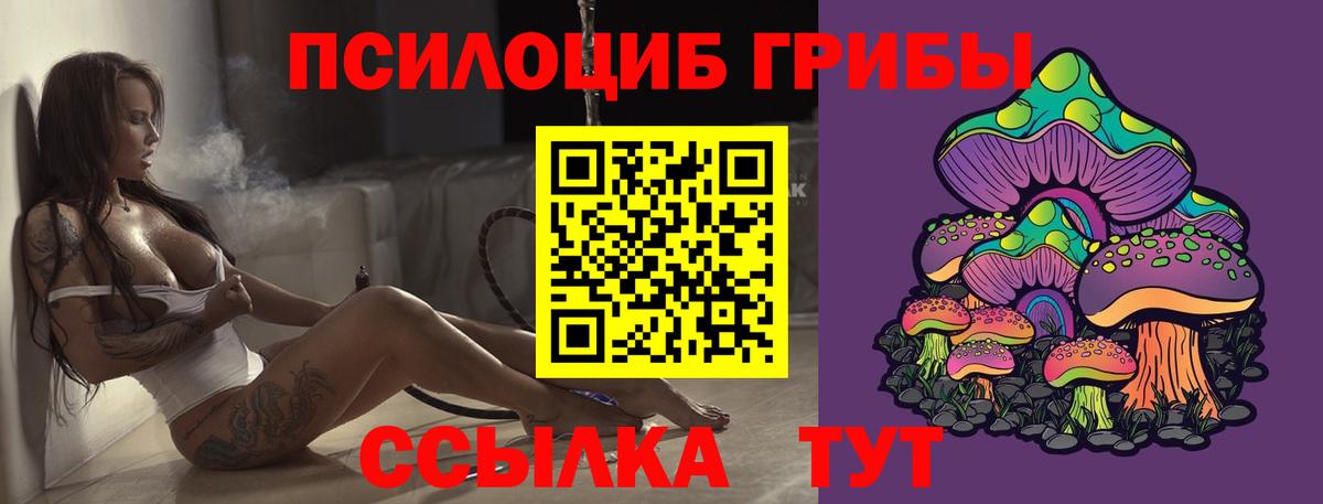 Псилоцибиновые грибы Psilocybine cubensis  сколько стоит  Осинники  Вход с VPN  Псилоцибиновые грибы Magic Shrooms 